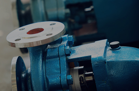 Đội ngũ dịch vụ tại chỗ của dự án Thanh Hải được thành lập!