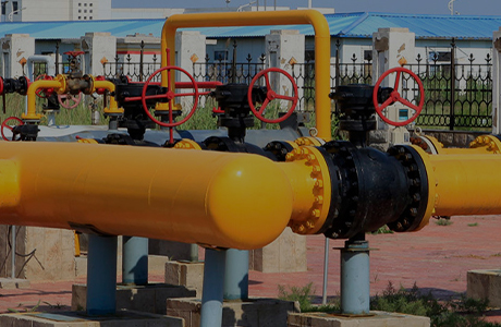 Công ty thuộc tập đoàn đã nhận được giấy phép sản xuất các sản phẩm công nghiệp