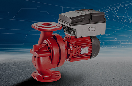 Chứng chỉ xếp hạng tín dụng [cấp AAA]